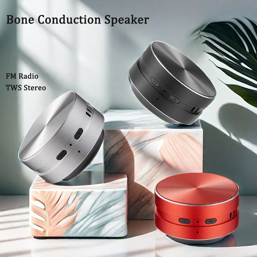 Hummingbird Resonance Speaker — Bluetooth 5.0 TWS Pair